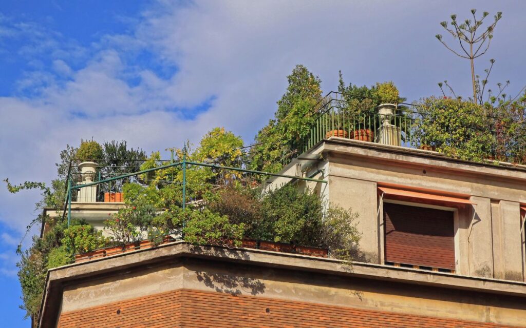 Terrazzo con piante a Roma